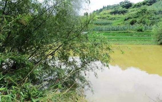 暴雨季節(jié)又濕又熱，家用桑拿房汗蒸房汗蒸排濕排毒健康過(guò)夏天