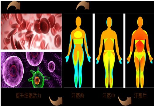 第一次去汗蒸房步驟，不知道的看這里[天道]