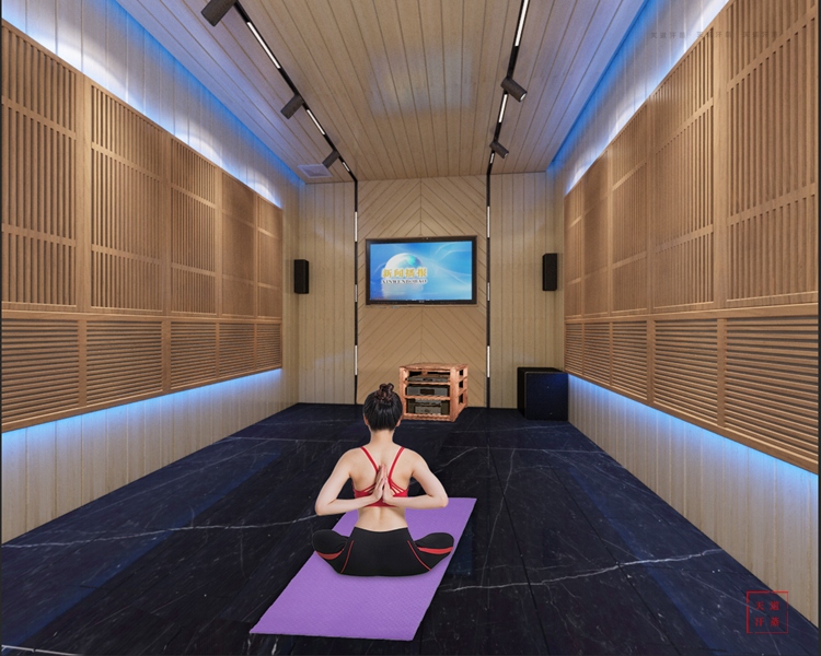 家用光波汗蒸房定制公司-設計定制能力強