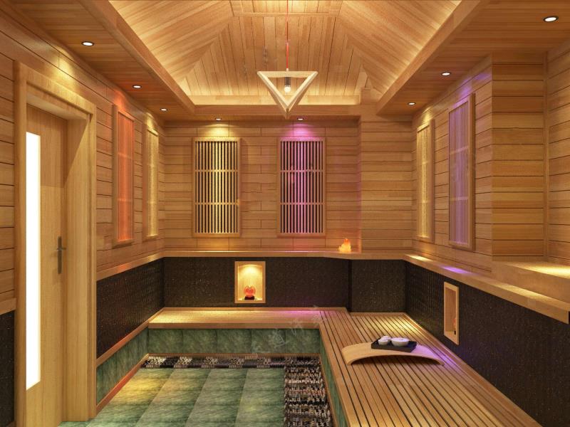 深圳納米汗蒸房