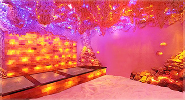 美容院家用鹽蒸房