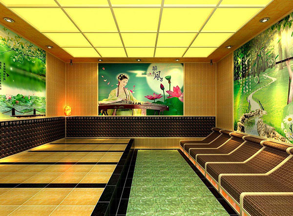 家用安然納米汗蒸房