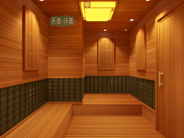 小型家用納米汗蒸房