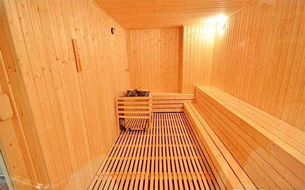 家用桑拿房汗蒸房