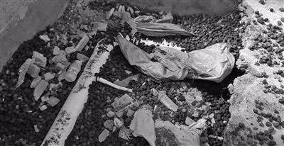 楊女士拍攝的現(xiàn)場(chǎng)圖片