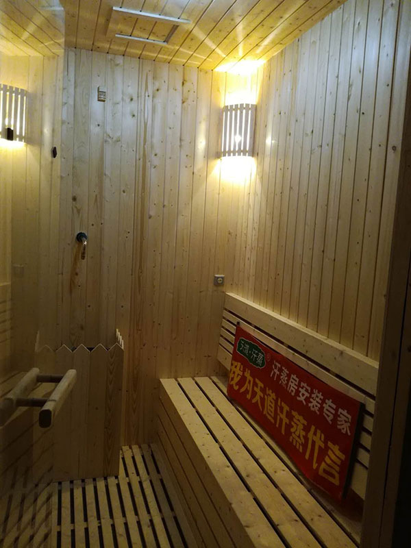 家用汗蒸房桑拿房