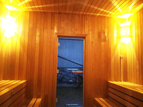 家用木質(zhì)汗蒸房