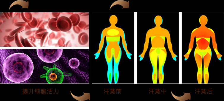 遠(yuǎn)紅外光波房