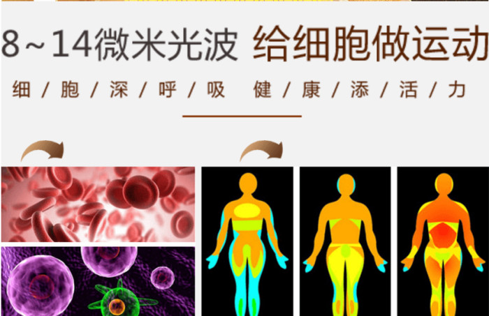 家用安然納米汗蒸房