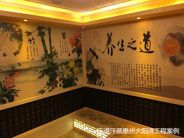 定制家用汗蒸房