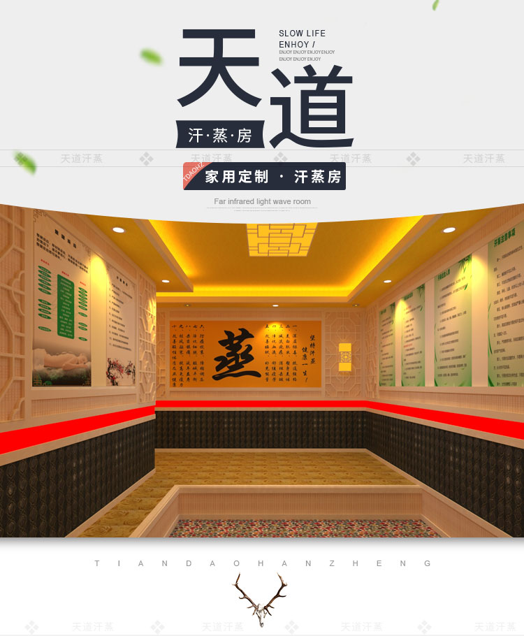 家用汗蒸房定制