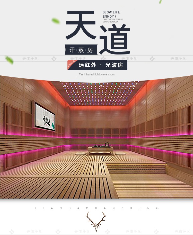 別墅家庭汗蒸房定制