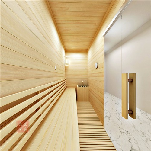 小型家用汗蒸桑拿房