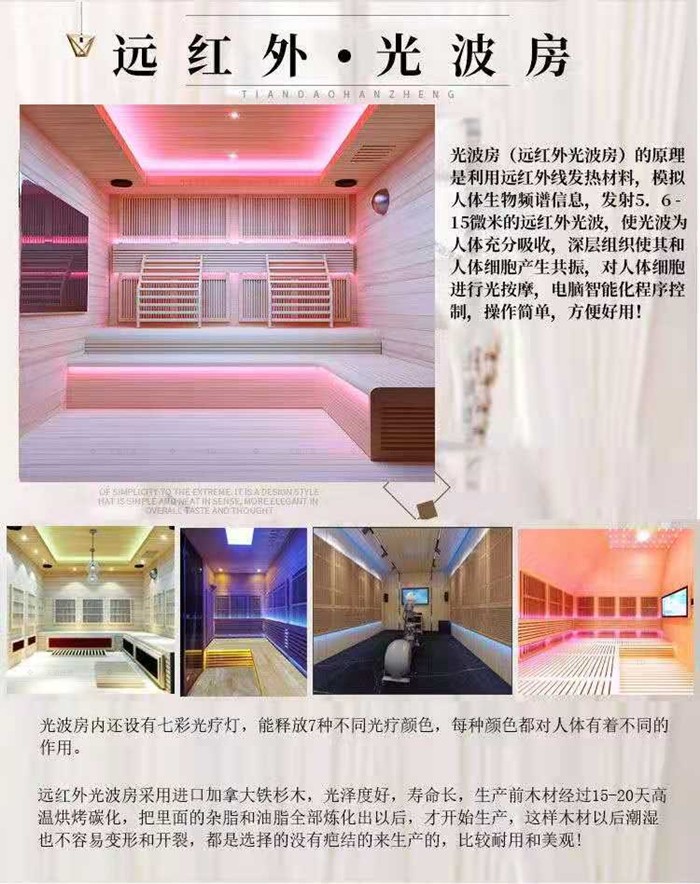 整體家用汗蒸房承建廠家